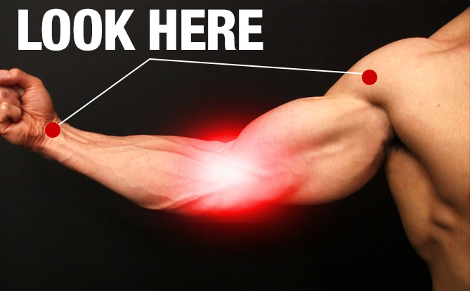 Best exercises for online elbow pain