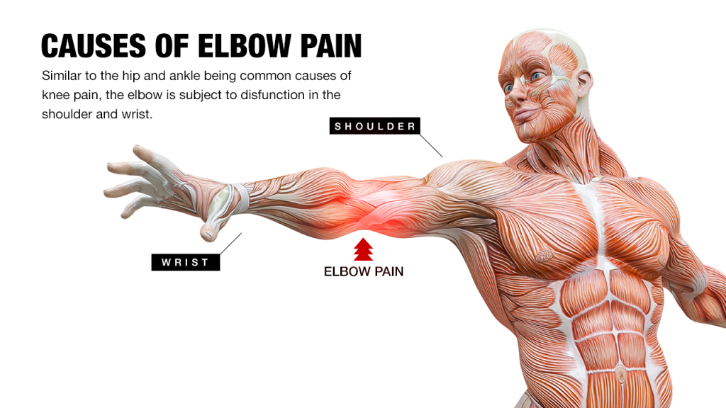 causes of elbow pain