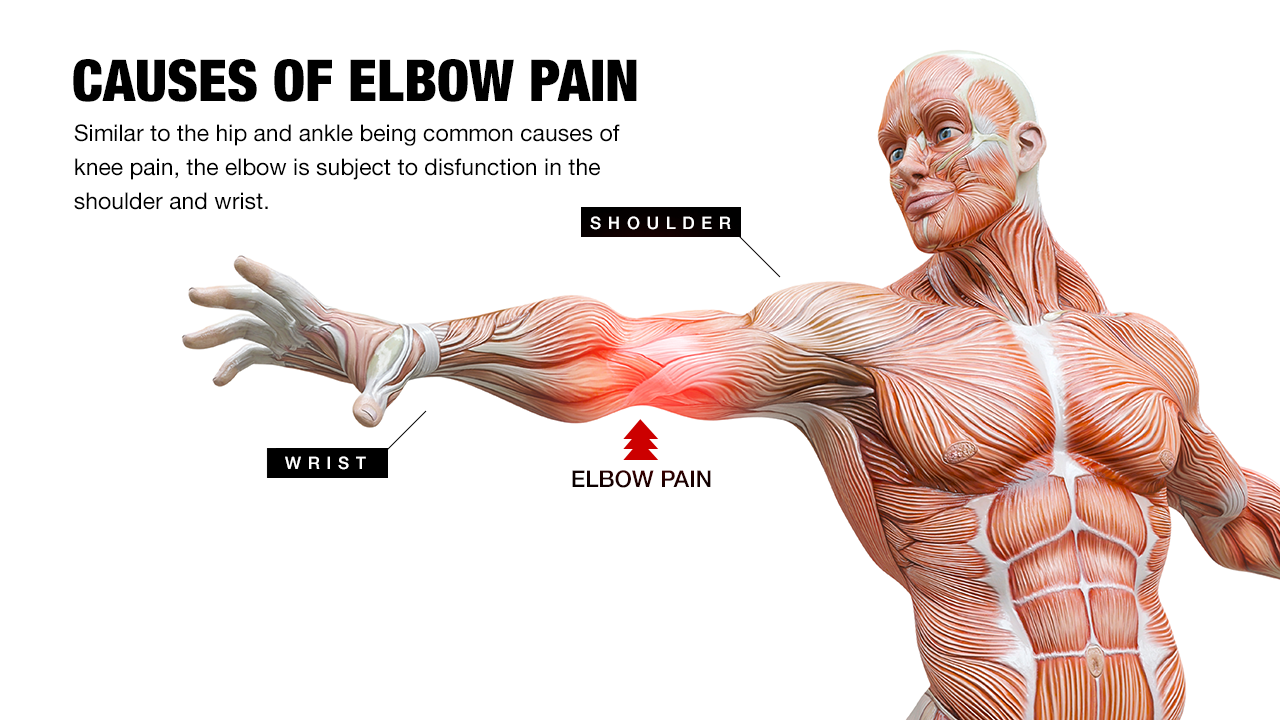 How To Fix Elbow Pain Golfer S Or Tennis Elbow ATHLEAN X   ELBOW PAIN 