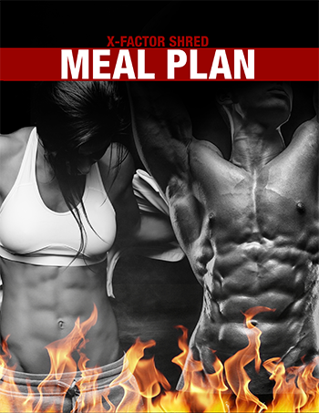 Fat Burning Workout Plan Max Shred