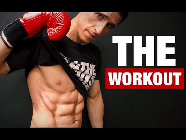 Boxer Workout  Boxer workout, Home boxing workout, Boxing workout