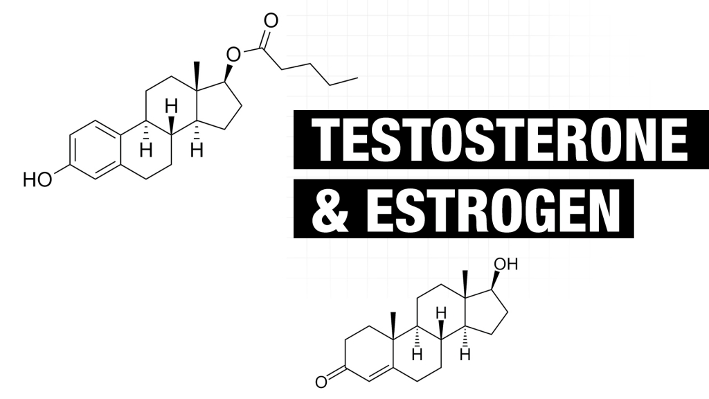 testosterone and estrogen