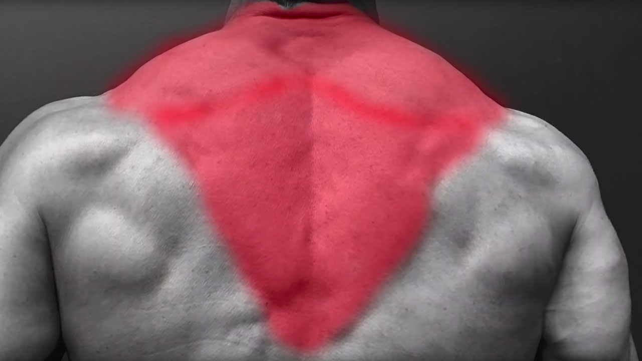 How to Get Bigger Traps ATHLEANX