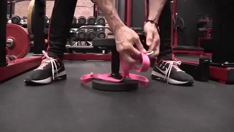 dog leash dumbbell trick weighted chinups at home