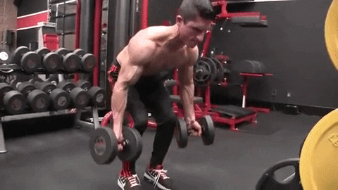 dumbbell underhand dead row exercise