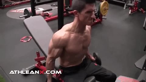 seated dumbbell curl exercise