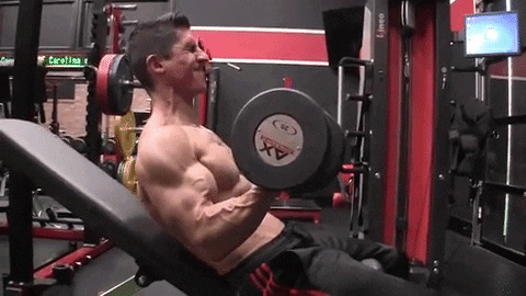 seated lowering dumbbell curl exercise