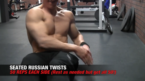 seated russian twists abs exercise