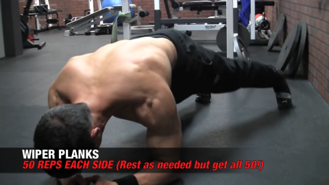 wiper planks abs exercise