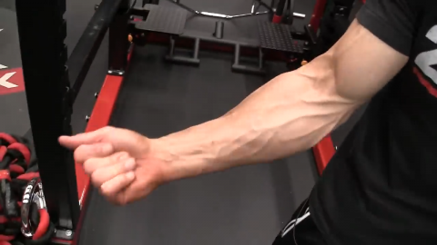 activation of the fingers recruits forearm strength