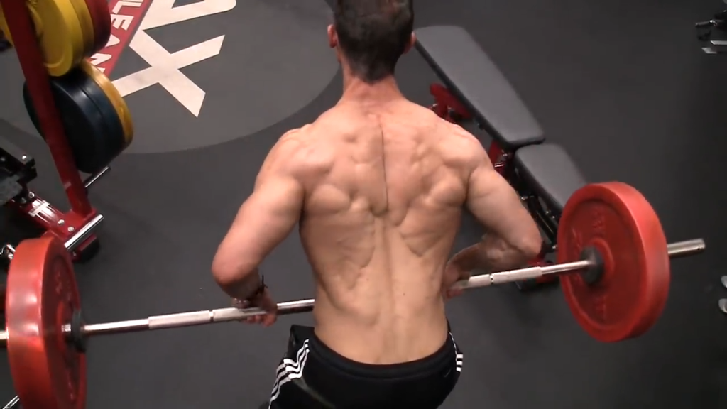 Full Body Workout Plan 30 Day Total Body Training ATHLEANX