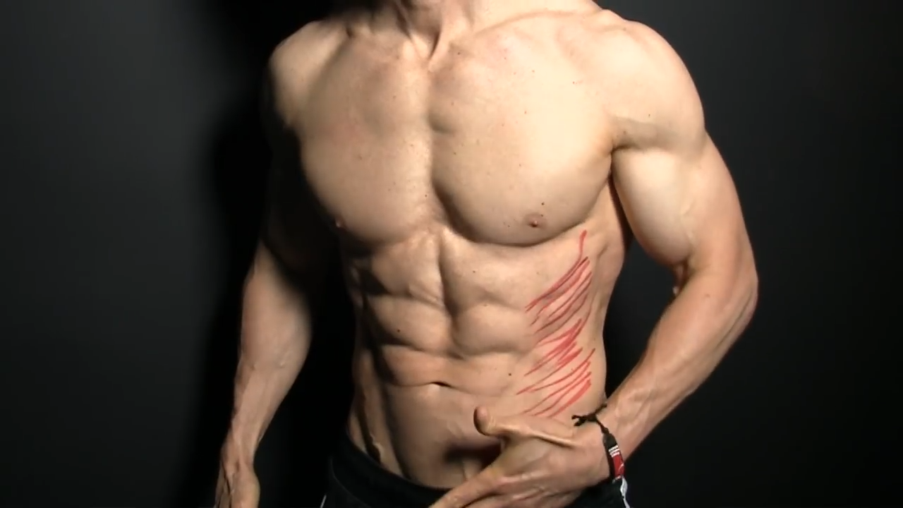 external obliques fibers oriented at an angle