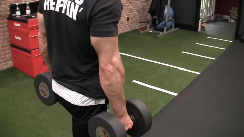 farmers carry forearm exercise