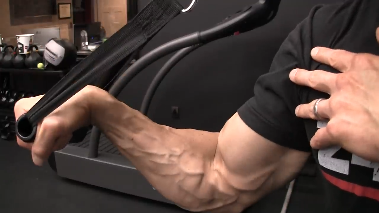 5 Day Forearm Workout Athlean X for Gym