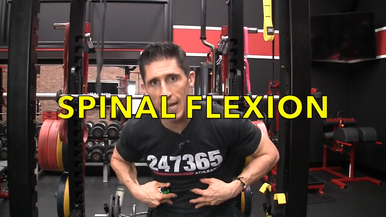 spinal flexion function of the abs