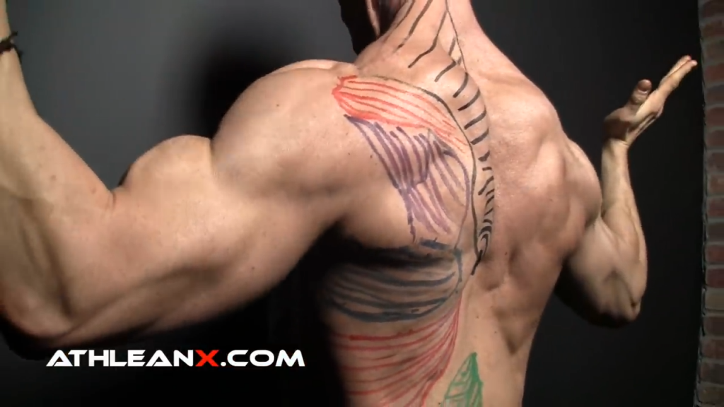 Best Back Workouts - The Perfect Back Exercises | ATHLEAN-X