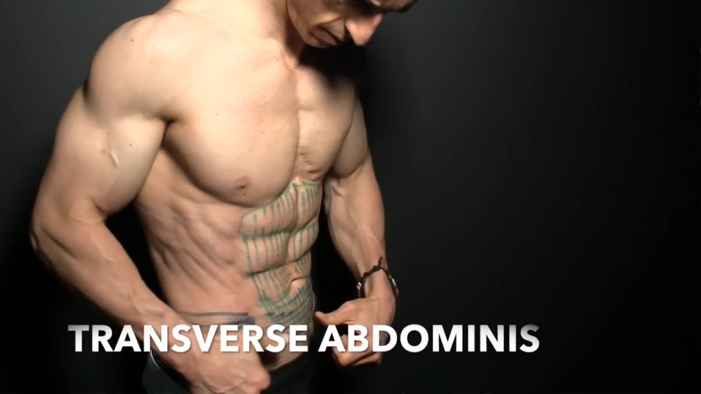Best Ab Workouts for Men Perfect Abs Workout ATHLEANX