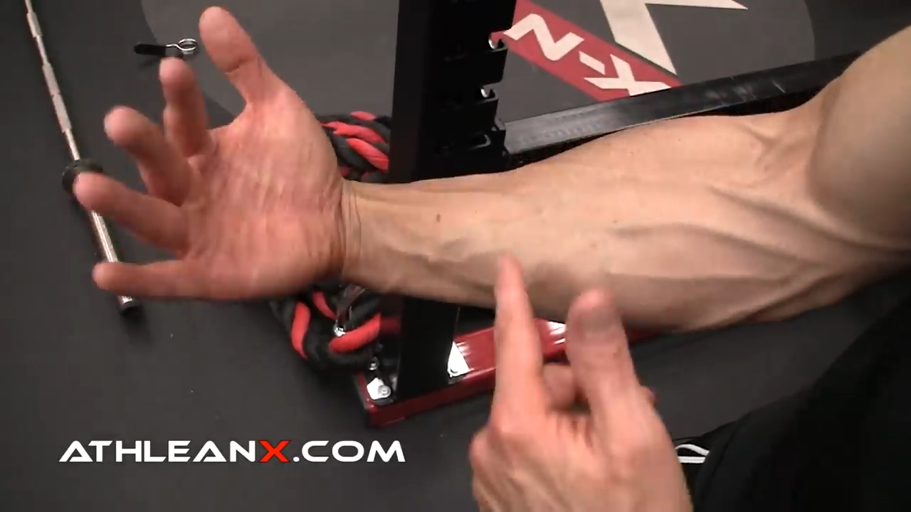 wrist flexion of the forearm