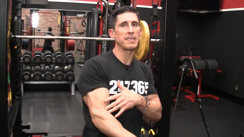 midrange portion of movements are handled by brachialis