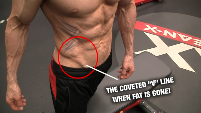 v cut area with no body fat