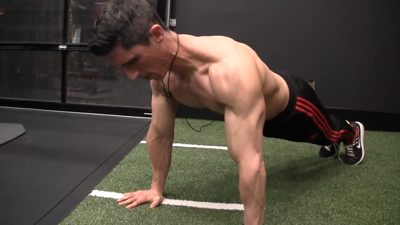 Perfect Pushup Elite : : Sports & Outdoors