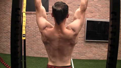 hanging scap pull exercise