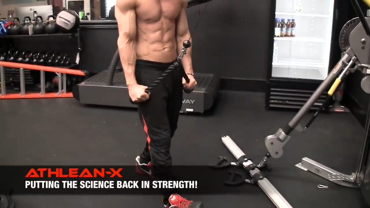 The Best Triceps Workouts that Train all Three Tricep Heads – CrazyBulk USA