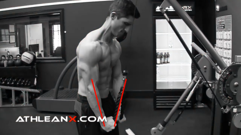 in the triceps pushdown when the cable is parallel to the forearm, the tension is gone