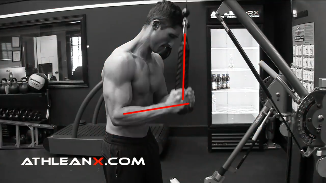 in the triceps pushdown when the cable is perpendicular to the forearm you have maximum tension