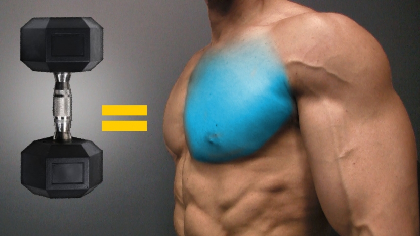 best dumbbell exercises for chest