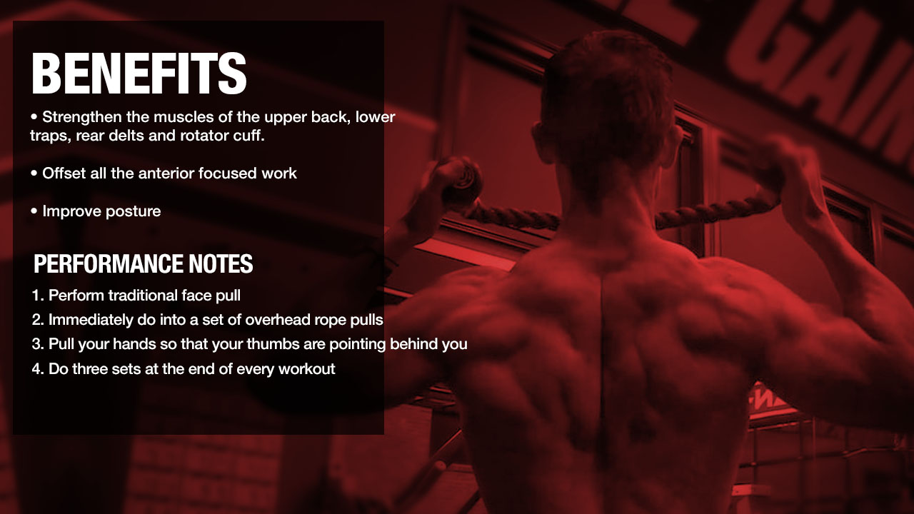 face pulls benefits and performance notes