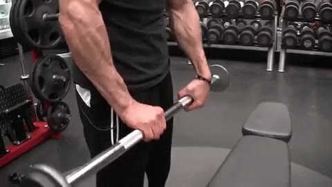 Forearm Workouts