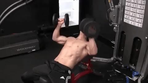 Chest Workouts - Best Exercises for Muscle and Strength