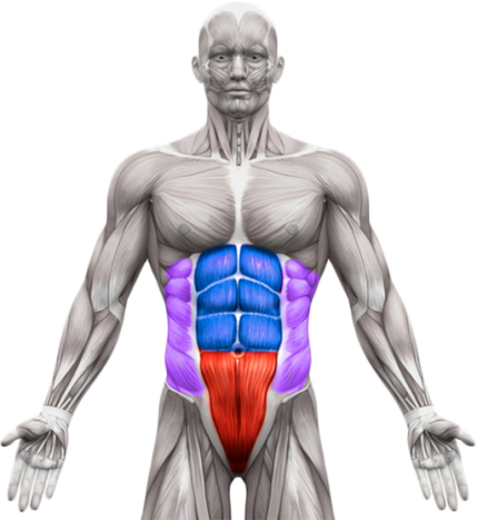 Core Abs Workout Plan - CORE4 Ab Training System | ATHLEAN-X