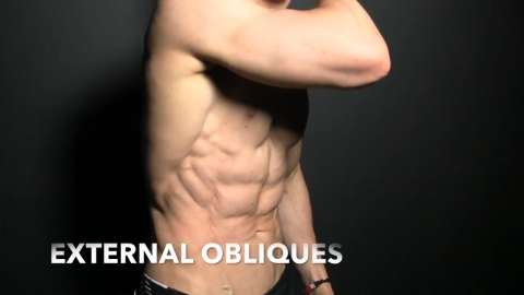 oblique exercises for men