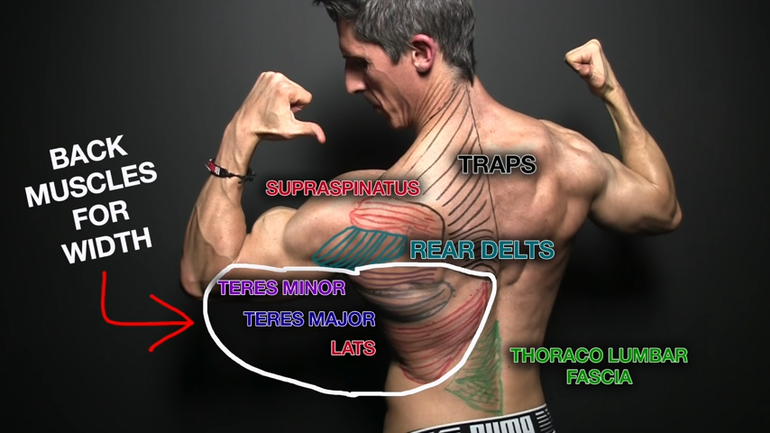 How To Get a Wider Back, Wide Back Exercises