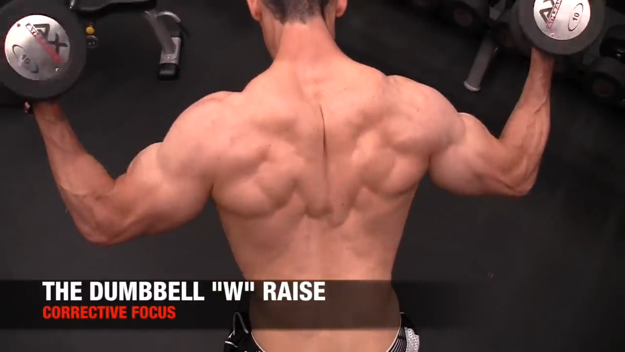 Best Dumbbell Back Exercises For Size And Strength