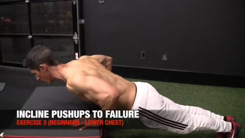 incline pushups