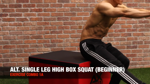 alternating single leg box squat