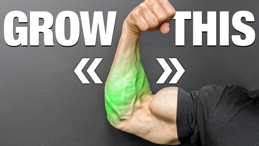 How To Build Bigger Forearms