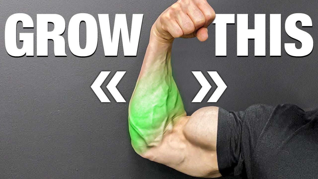 Building discount forearm muscle