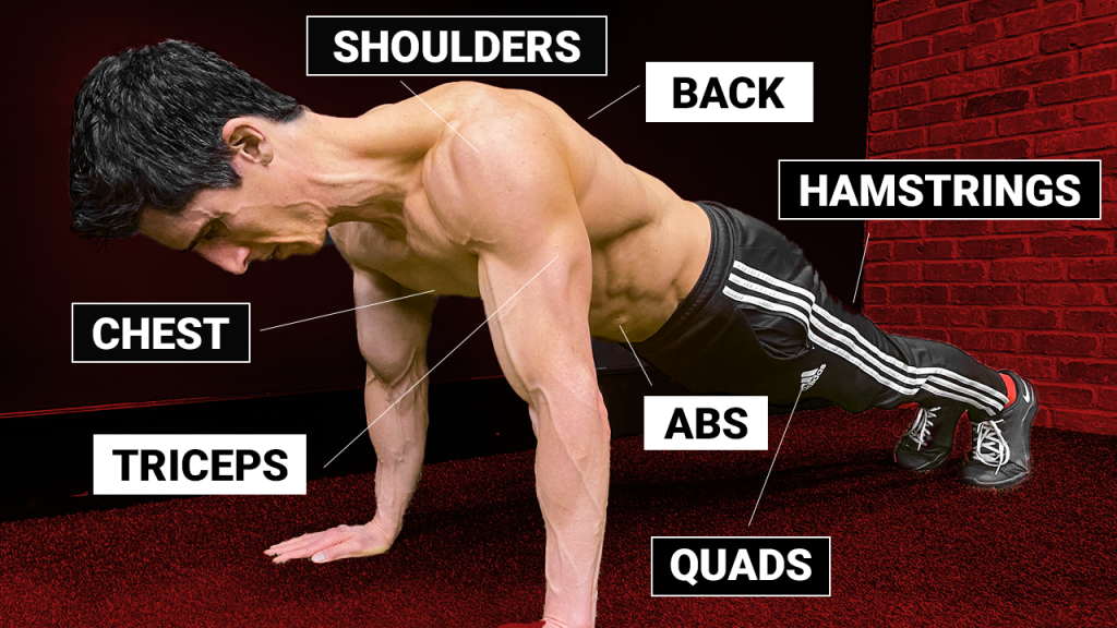 How to Hit EVERY Muscle with a Pushup! (TOTAL BODY)