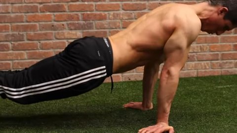 planche style pushups