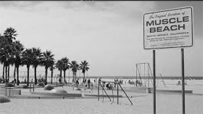 Iron Muscle Beach