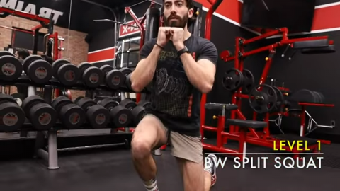 bodyweight split squat
