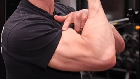 long head of biceps