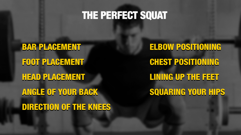 perfect form of Squat for beginners