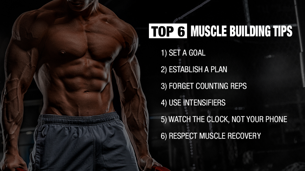 muscle building tips