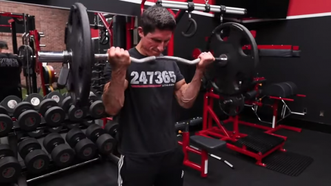 barbell cheat curl