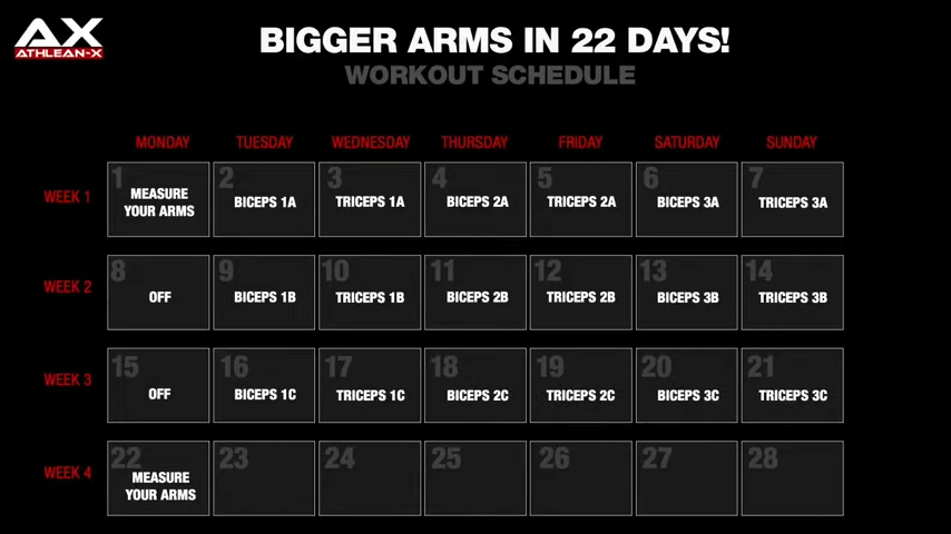 Big Arms Workout  Big arm workout, Printable workouts, Arm workout